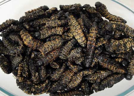 Namibia : Ovambo - omagungu