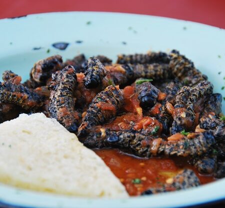 Zambia : muyaya / finkubala