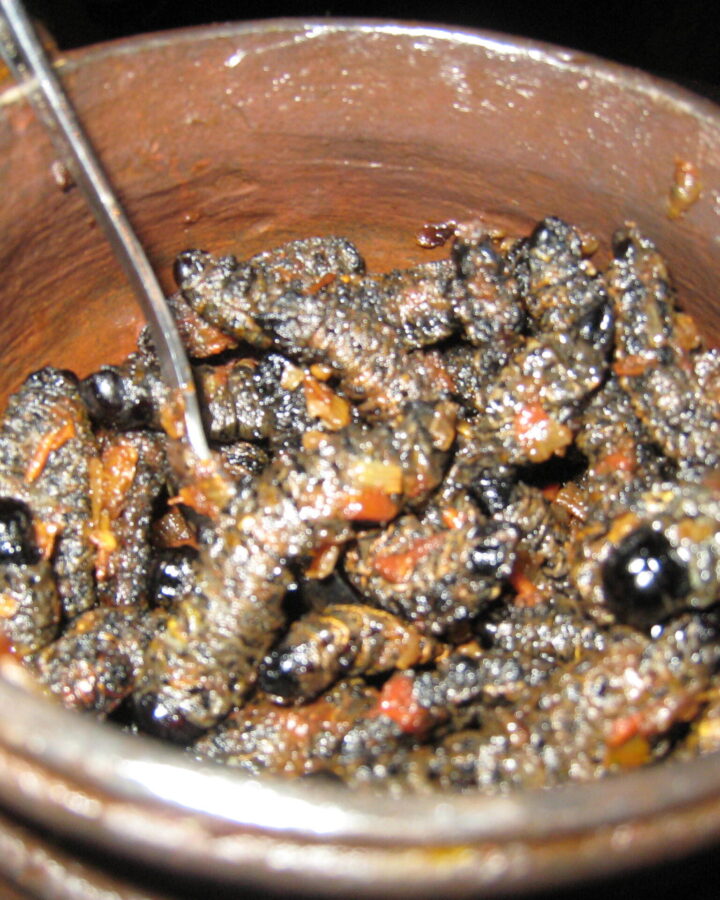 South Africa : Ndebele - iinnondo